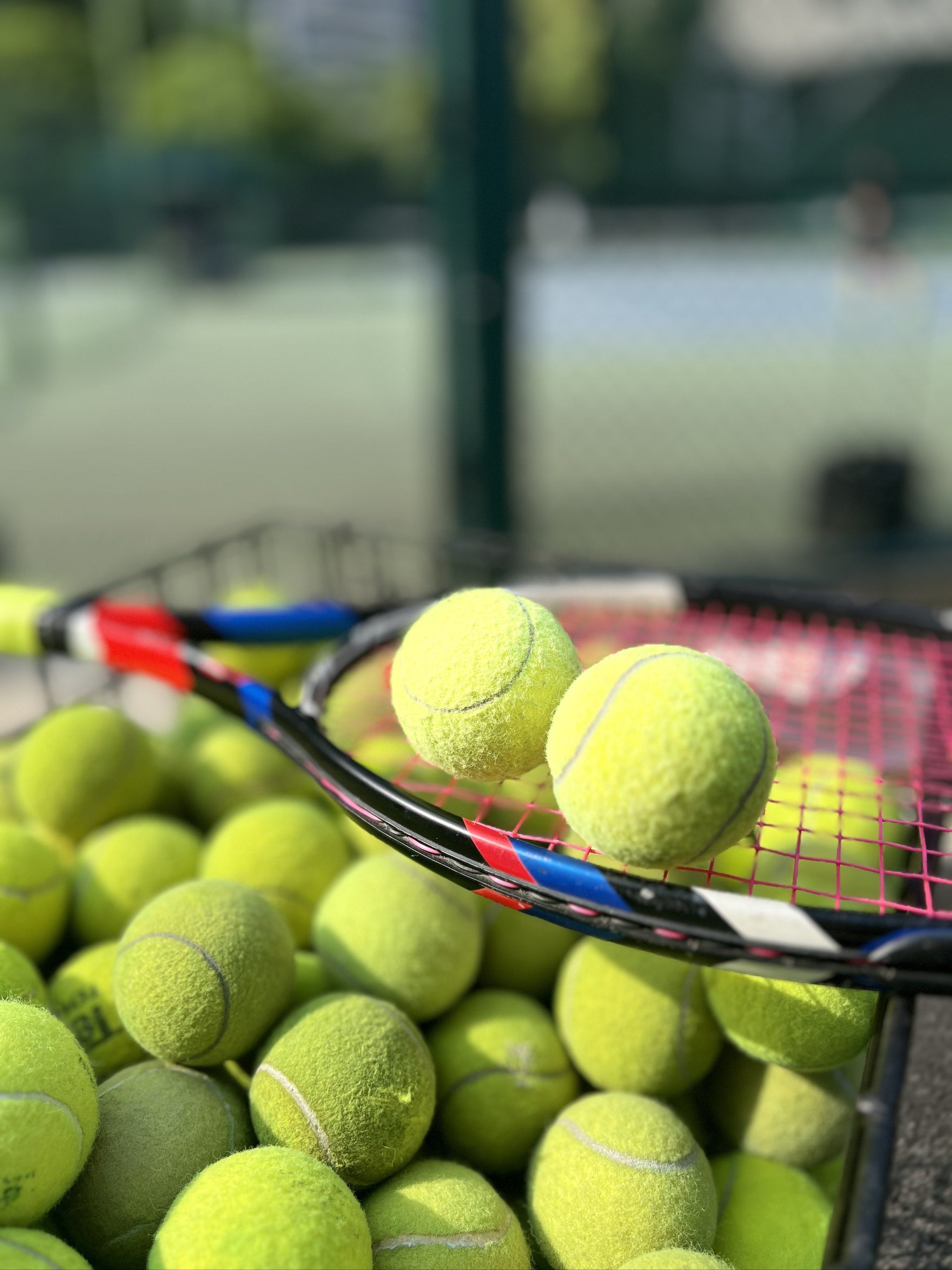 他曾多次贡 他曾多次贡