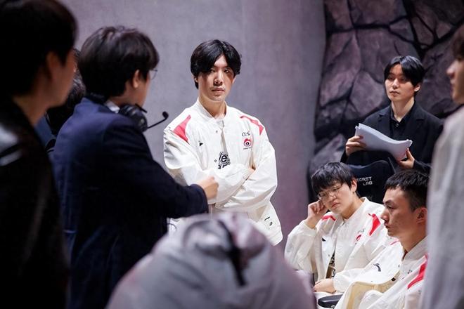 球迷和专家 球迷和专家