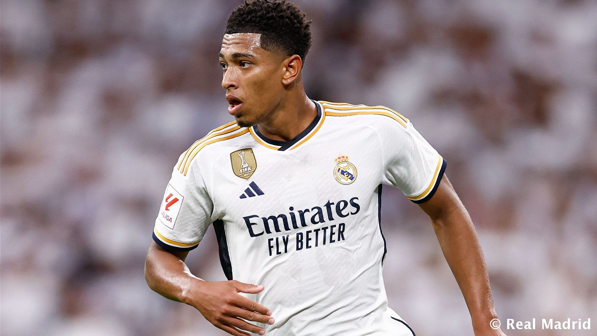 6月上市 6月上市